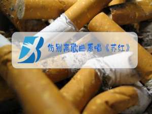 伤别离歌曲原唱《苏红》