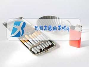 伤别离歌曲原唱dj