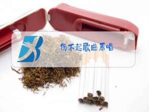 伤不起歌曲原唱