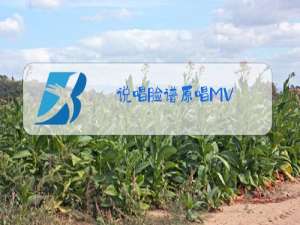 说唱脸谱原唱MV