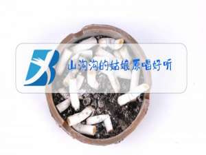 山沟沟的姑娘原唱好听