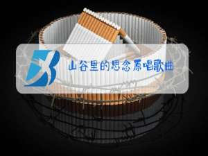 山谷里的思念原唱歌曲,谢军暖心暖心一