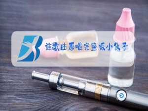 谁歌曲原唱完整版小伙子广场舞