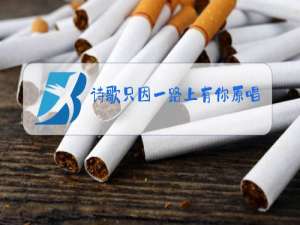 诗歌只因一路上有你原唱