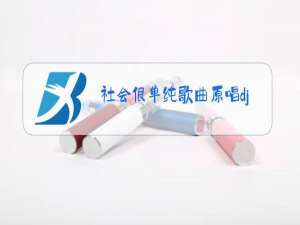 社会很单纯歌曲原唱dj视频