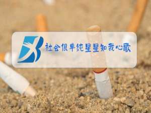 社会很单纯星星知我心歌曲原唱