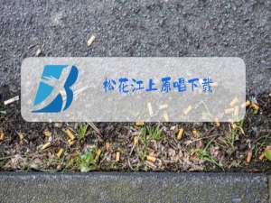 松花江上原唱下载