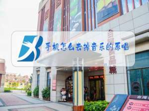 手机怎么去掉音乐的原唱