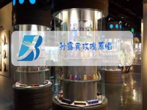 孙露黄玫瑰原唱