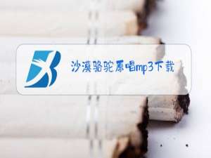 沙漠骆驼原唱mp3下载