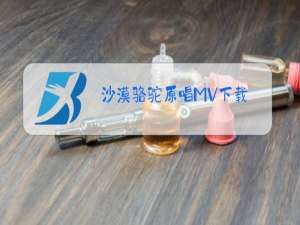 沙漠骆驼原唱MV下载