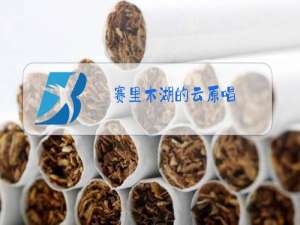 赛里木湖的云原唱