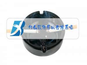 什么软件可以去掉原唱