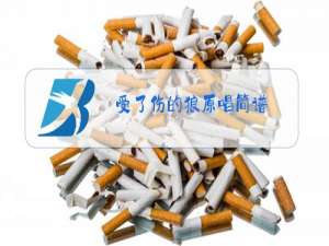 受了伤的狼原唱简谱