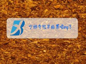 少林寺牧羊曲原唱mp3