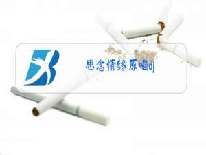 思念情缘原唱dj