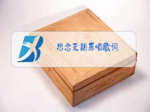 思念无期原唱歌词