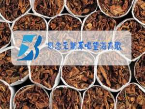 思念无期原唱望海高歌