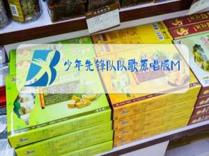 少年先锋队队歌原唱版MV