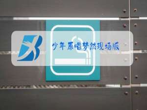 少年原唱梦然现场版