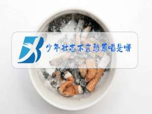 少年壮志不言愁原唱是哪一年