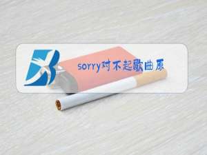 sorry对不起歌曲原唱
