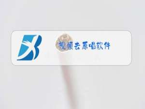 视频去原唱软件