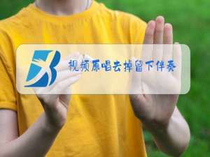 视频原唱去掉留下伴奏