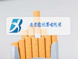 送亲歌词原唱视频