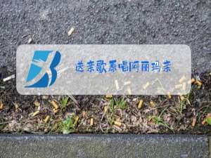 送亲歌原唱阿丽玛亲