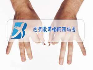 送亲歌原唱阿丽玛送