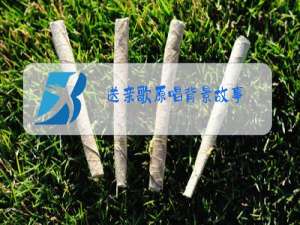 送亲歌原唱背景故事