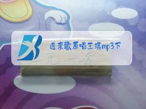 送亲歌原唱王琪mp3下载