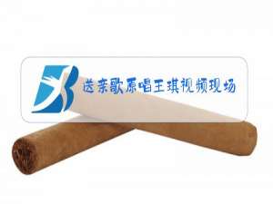 送亲歌原唱王琪视频现场版