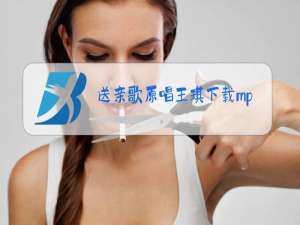 送亲歌原唱王琪下载mp3免费