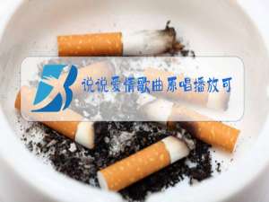 说说爱情歌曲原唱播放可可托海的牧羊人