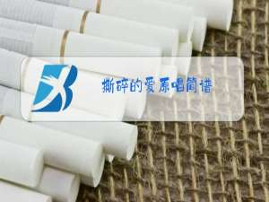 撕碎的爱原唱简谱