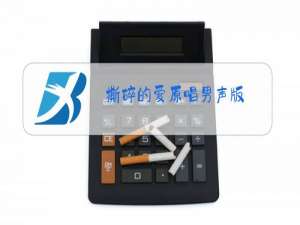 撕碎的爱原唱男声版