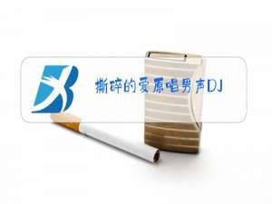 撕碎的爱原唱男声DJ