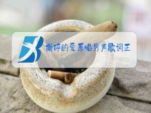 撕碎的爱原唱男声歌词正飞