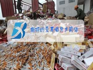 撕碎的爱原唱男声简谱