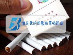 谁是我的郎歌曲原唱简谱