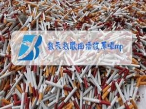 数天数歌曲播放原唱mp3