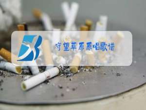 守望草原原唱歌谱