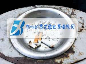 伤心的雪花歌曲原唱视频