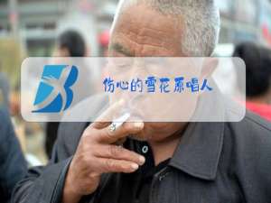 伤心的雪花原唱人