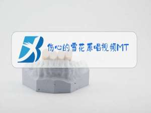 伤心的雪花原唱视频MTV