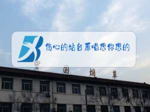 伤心的站台原唱想你想的好心痛歌曲