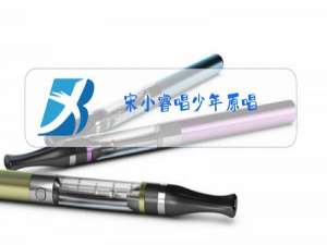 宋小睿唱少年原唱