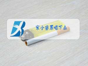 宋小睿原唱下山